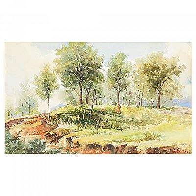 Paisaje