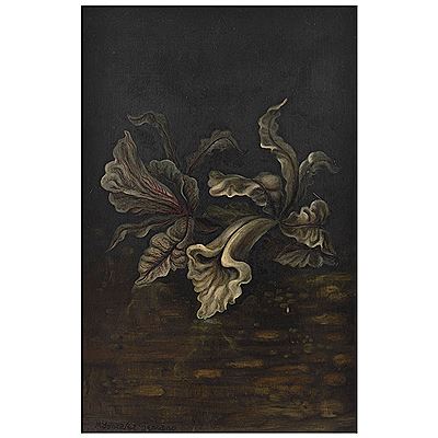 Orquídea