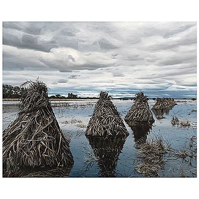 Carrizos by Joaquin Flores - Auction record, sale price, and art valuation. Compare with similar artists and explore comparable artworks.
