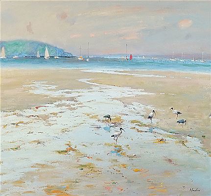Wadding Ibis, Low Tide, Pittwater