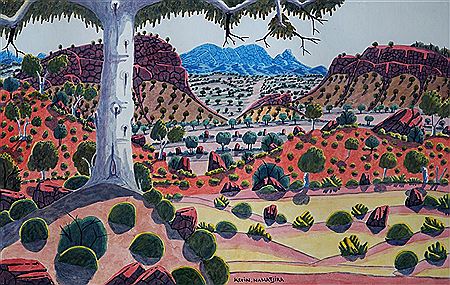 Central Australia Landscape