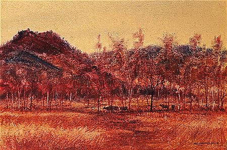 Buffalo Country