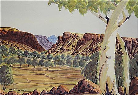 Central Australian Landscape