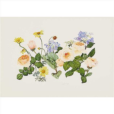 Sample artwork by Elspeth Harrigan (1938 - 1999), known for botanical art - View similar artists and auction records
