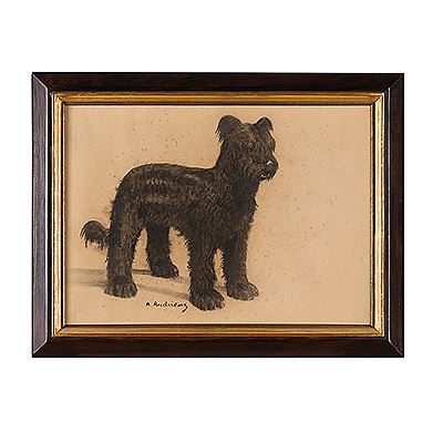 SCOTTISH TERRIER