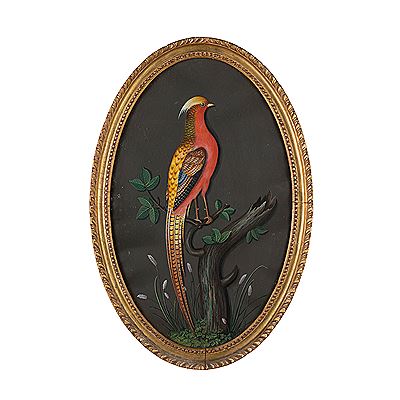 CHINESE PHEASANT (2)