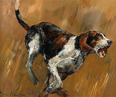 Chien courant