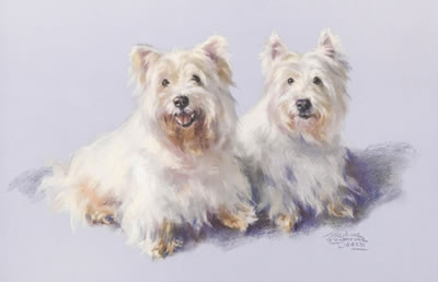''Westies''
