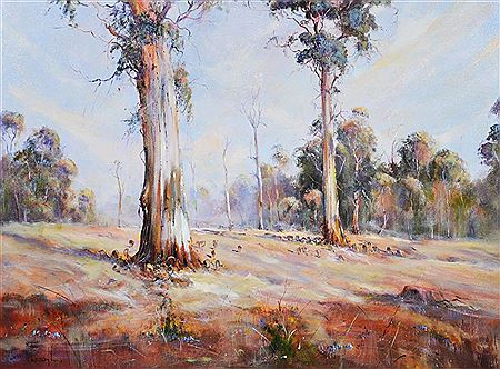 Gumtrees, South West W.A