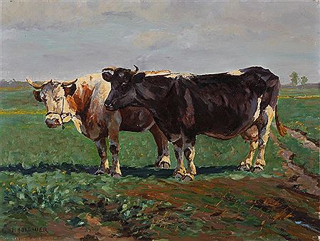Rinder auf der Weide