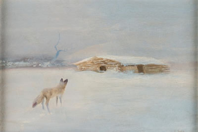 Deep Winter Snow