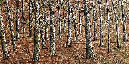Between the Woods