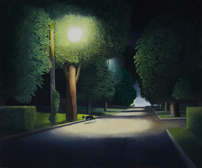Dog Roaming The Night Streets