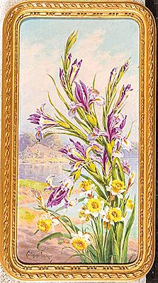 Les iris.