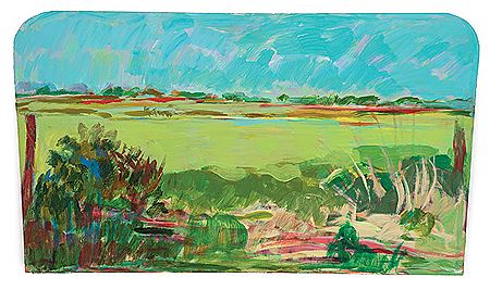 "Rice Field Vista"