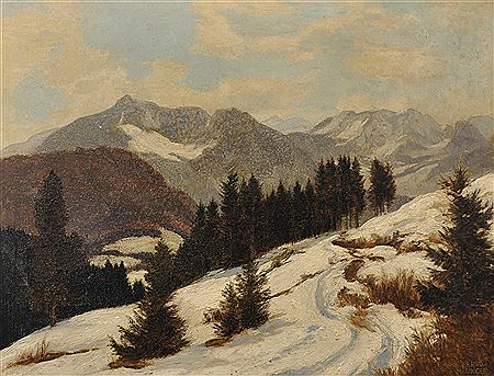 A Snowy Winter Mountainous Landscape
