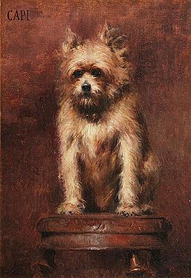 'Capi' A Study of a Terrier Seated on a Stool