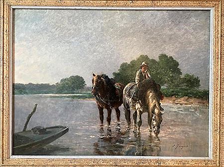 Chevaux de trait s'abreuvant