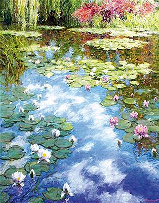 Floraison des Nymphéas, 2020