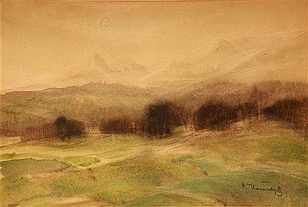 Mountain forest