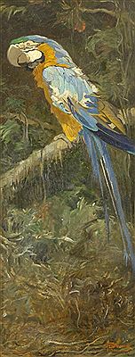 Sitzender blau-gelber Ara