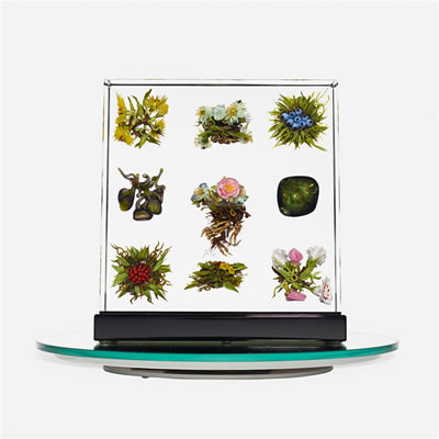 Assemblage A5