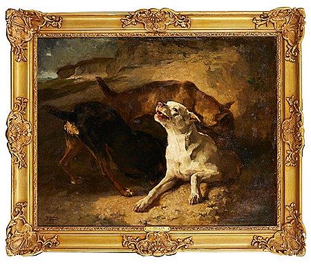 CHIENS CHASSANT LE BLAIREAU