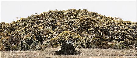 Hillside, Portsea 1988