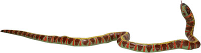 Large Colorful Snake