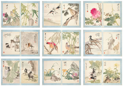 VITALITY OF NATURE (18)