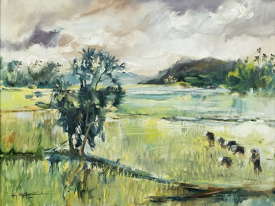 RICE FIELDS IN SOUTH VIETNAM
