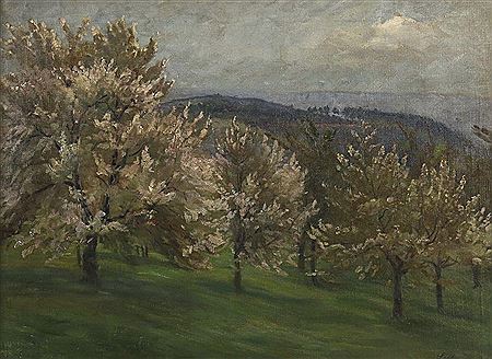 Cherry blossom near Bouch