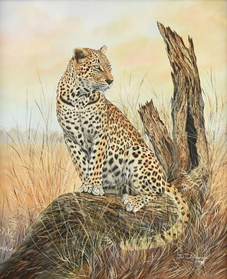 "Cheetah," 1990