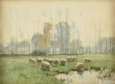 "Sheep Watering by the Treeline"