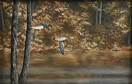 "Mallard Ducks in Flight"