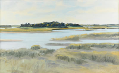 "Marshland in Landscape"