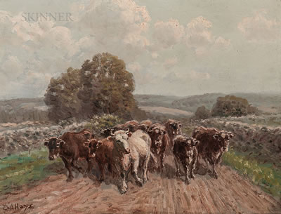 Cattle on Road