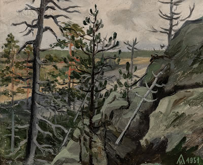Mountainside Vista