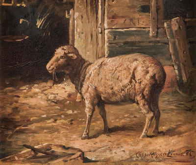 Sheep in Barnyard.