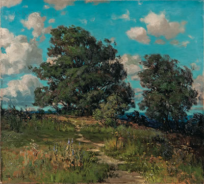 The Meadow Path