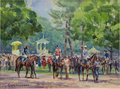 IN THE PADDOCK