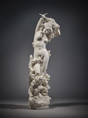 WOODLAND NYMPH