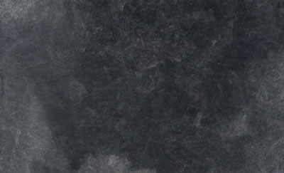 BUSH PLUM, 2006