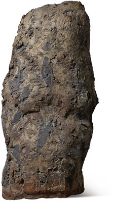 Untitled (Half-Figure)