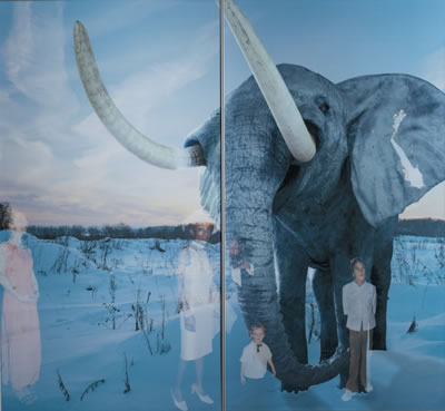 ELEPHANT, FROM THE WINDOWS SERIES