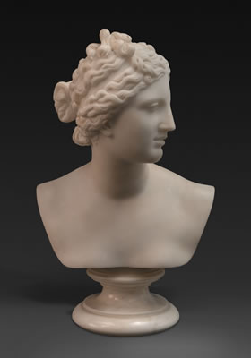 BUST OF THE VENUS DE' MEDICI