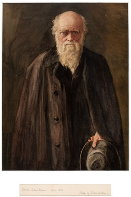 Portrait of Charles Darwin