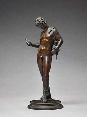 Narcissus