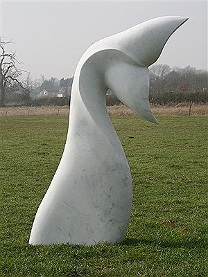 White whale