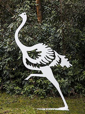 Ostrich